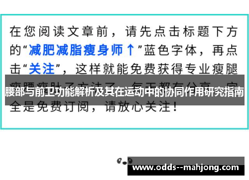 腰部与前卫功能解析及其在运动中的协同作用研究指南