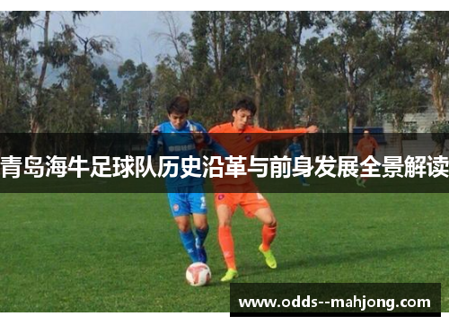 青岛海牛足球队历史沿革与前身发展全景解读