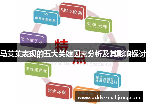 马莱莱表现的五大关键因素分析及其影响探讨