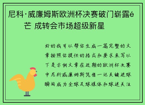 尼科·威廉姆斯欧洲杯决赛破门崭露锋芒 成转会市场超级新星