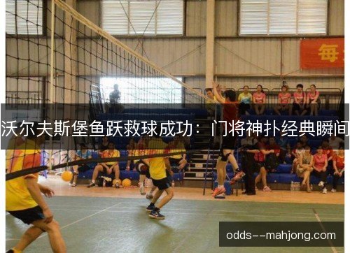 沃尔夫斯堡鱼跃救球成功:门将神扑经典瞬间 沃尔夫斯堡鱼跃救球成功:门将神扑经典瞬间